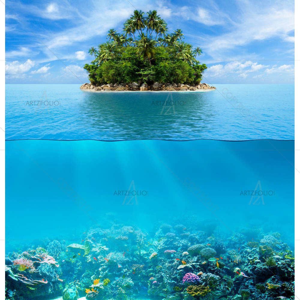 Underwater Coral Reef Seabed — custom-size art design 5006388