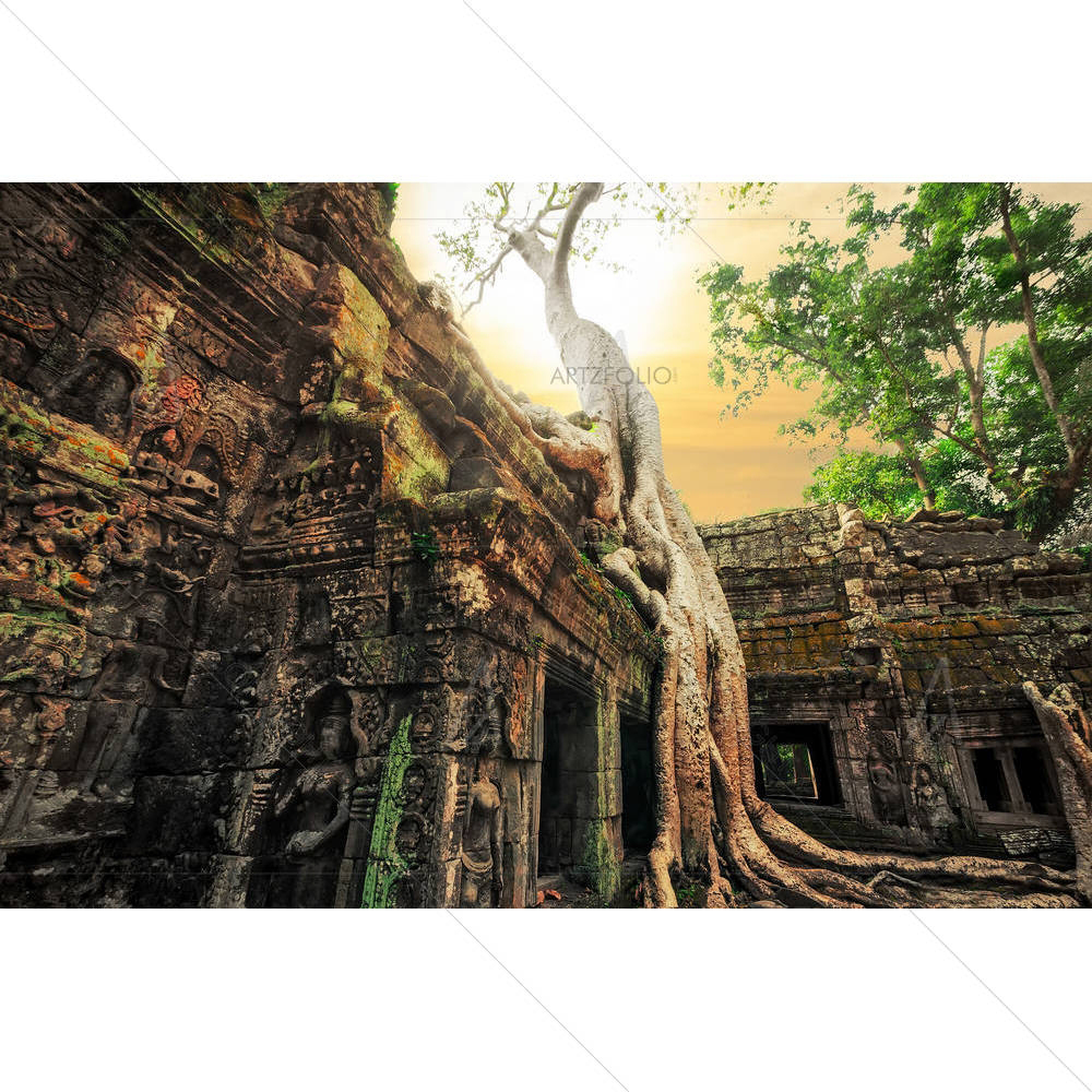 Ancient Ta Prohm Temple, Angkor Wat, Cambodia — custom-size art design 5006398