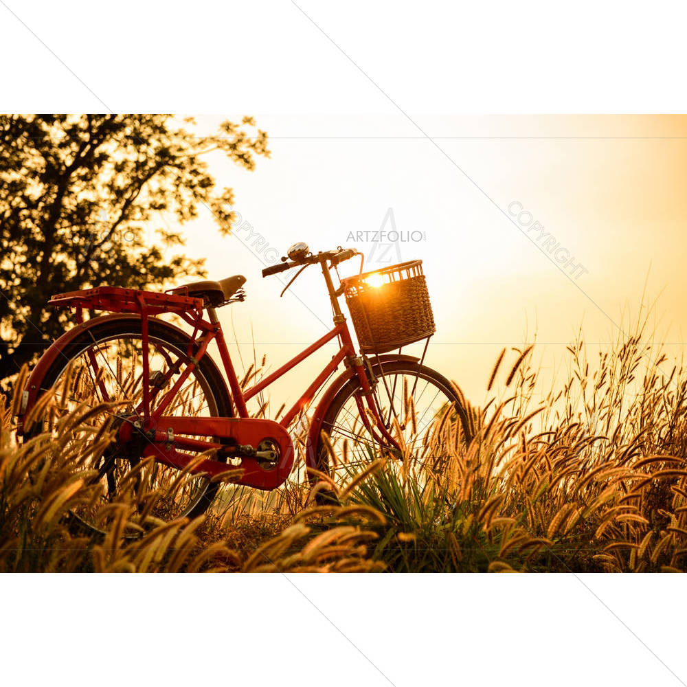 Bicycle At Sunset — custom-size art design 5006407
