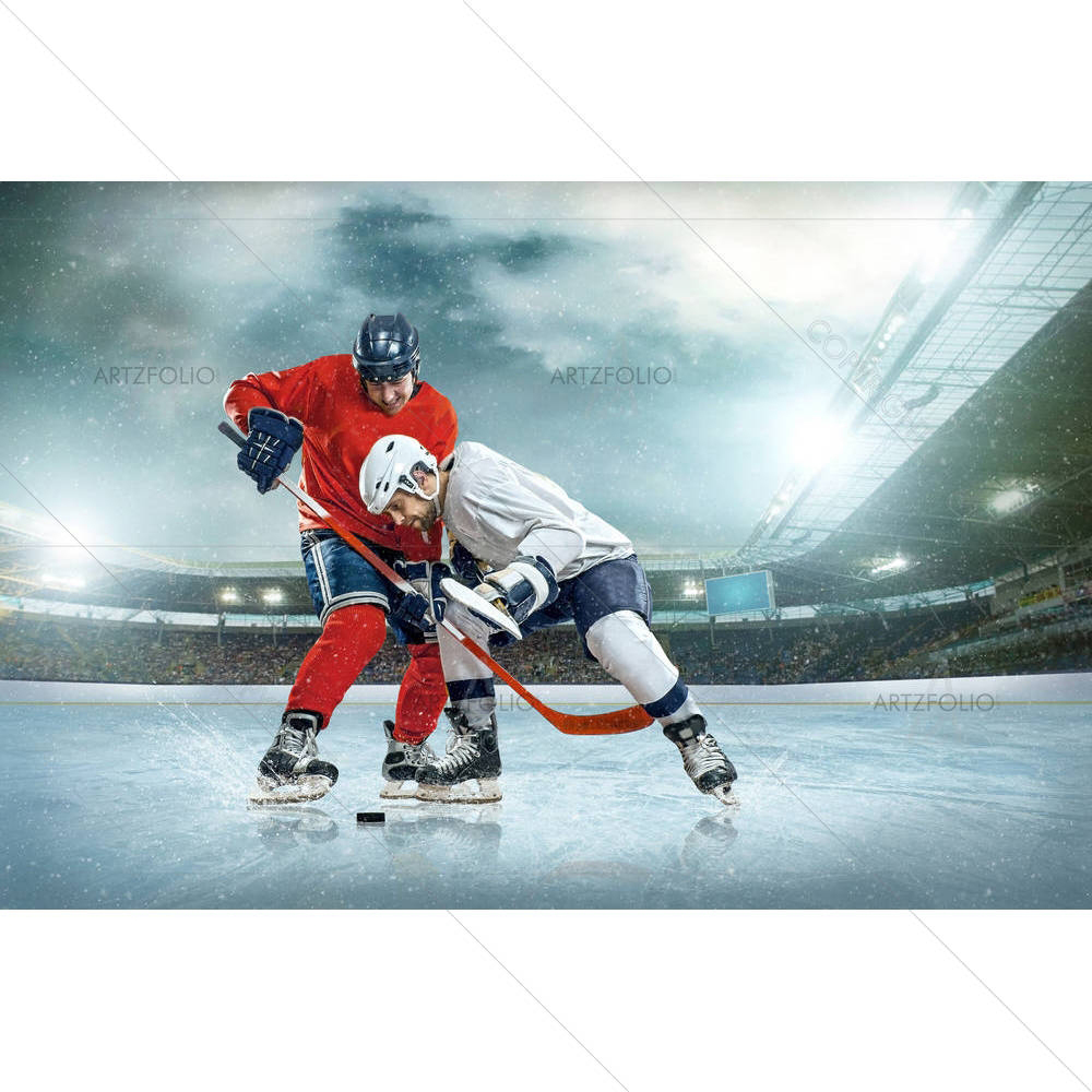 Ice Hockey Player On The Ice — custom-size art design 5006465