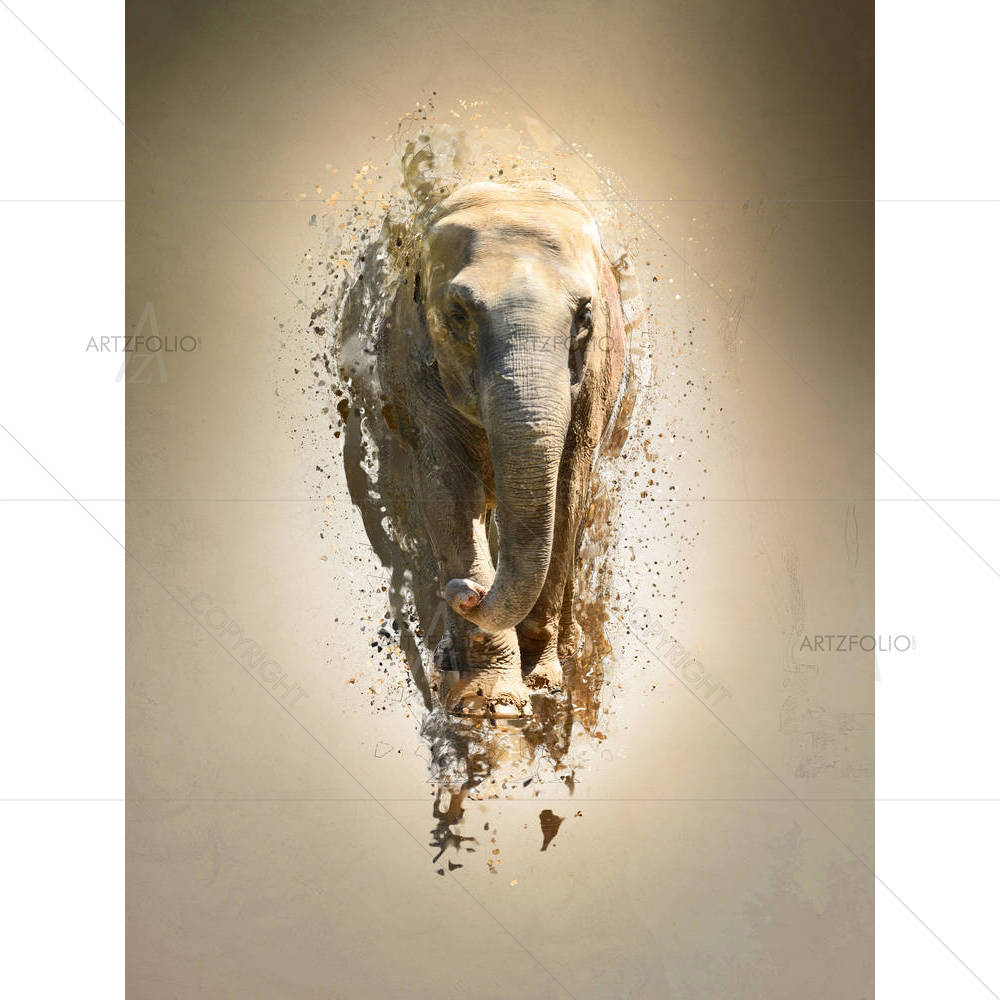 Abstract Elephant D2 — custom-size art design 5006500