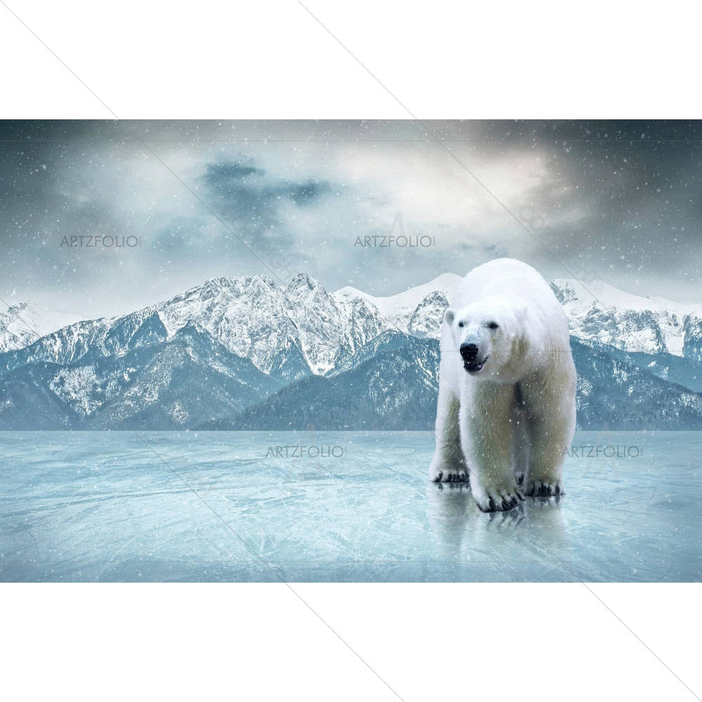 White Polar Bear On The Ice — Animals custom art by ArtzFolio