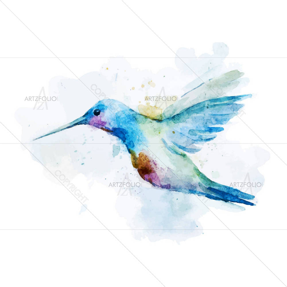 Watercolor Colibri Bird — custom-size art design 5006636