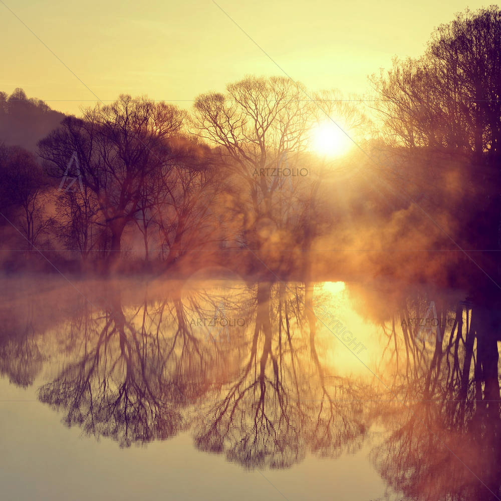 Sunrise Over The Pond — custom-size art design 5006669