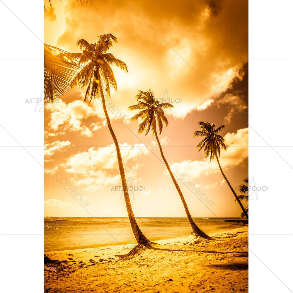 Caribbean Beach On Saona Island Dominican Republic — custom-size art design 5006722