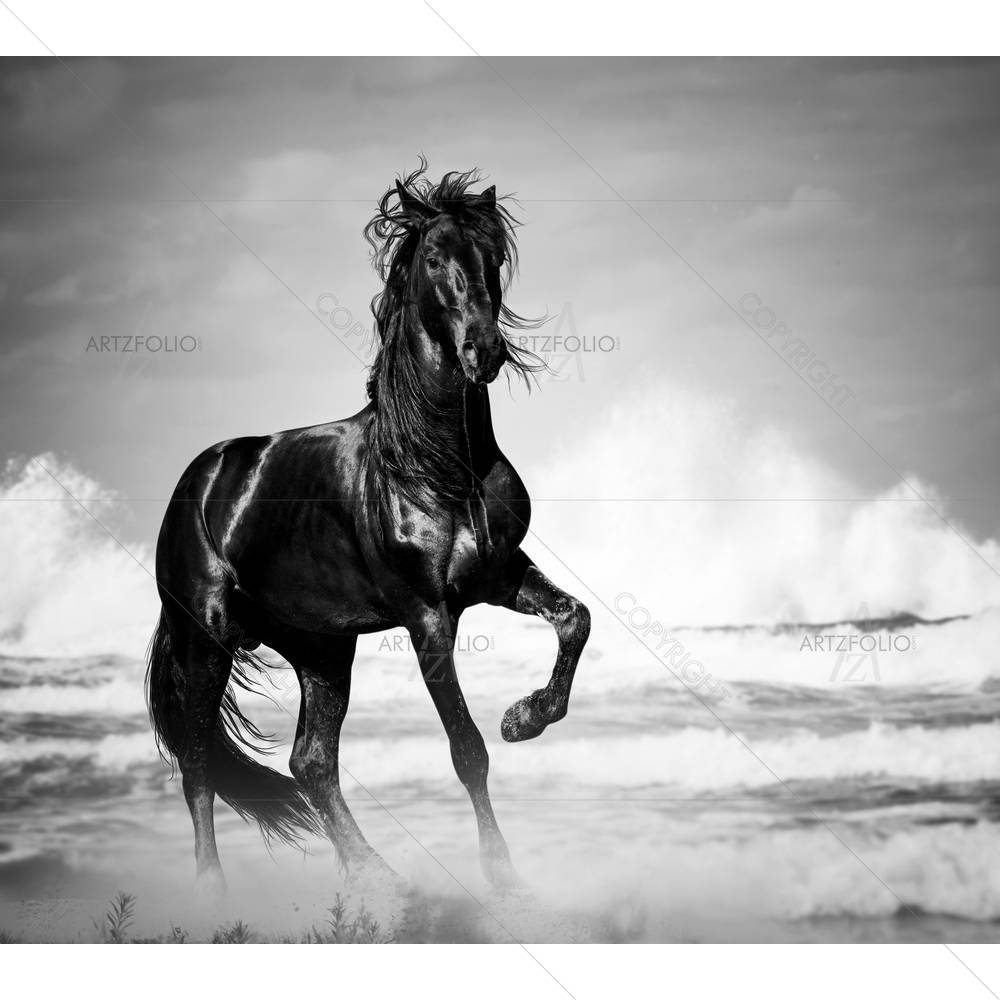 Black Stallion By The Seaside — Animals custom art by ArtzFolio