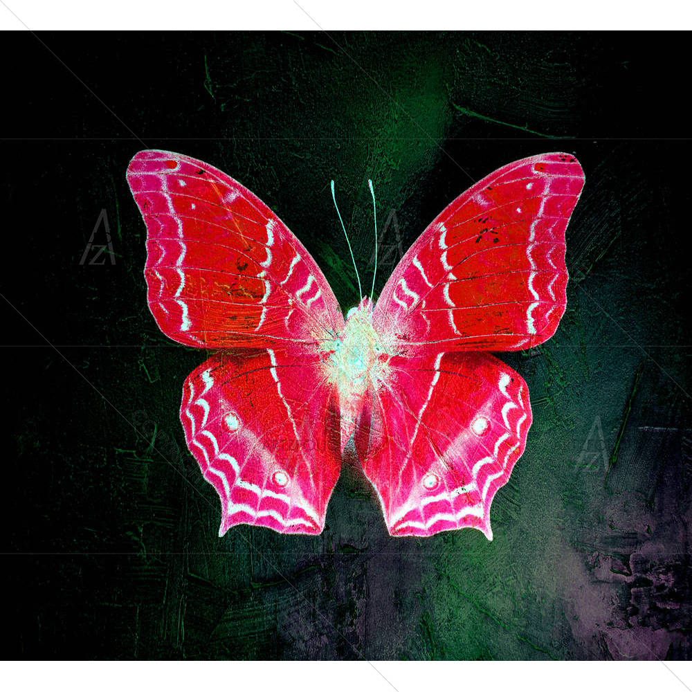 Double Effect Butterfly D1 — Abstract custom art by ArtzFolio