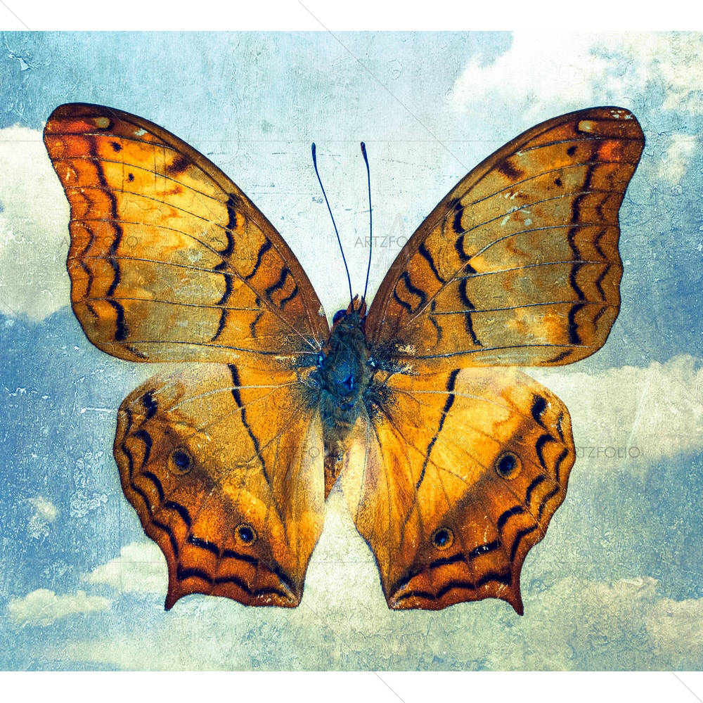 Double Effect Butterfly D2 — Abstract custom art by ArtzFolio