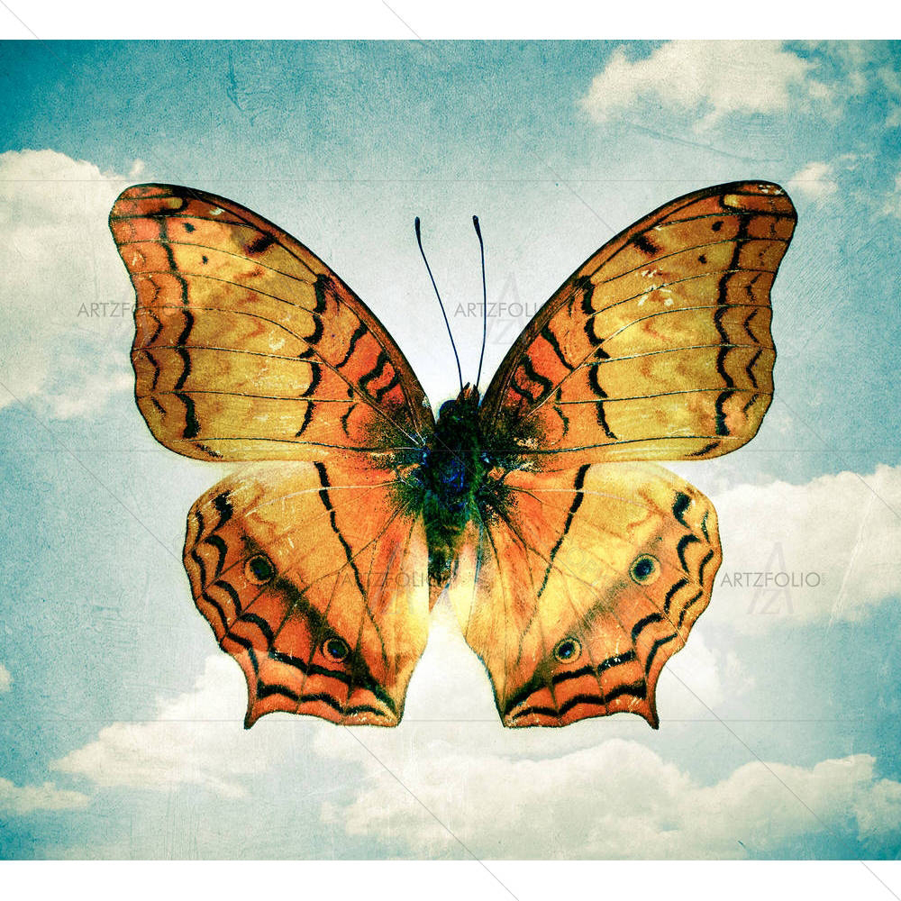 Double Effect Butterfly D3 — custom-size art design 5006794