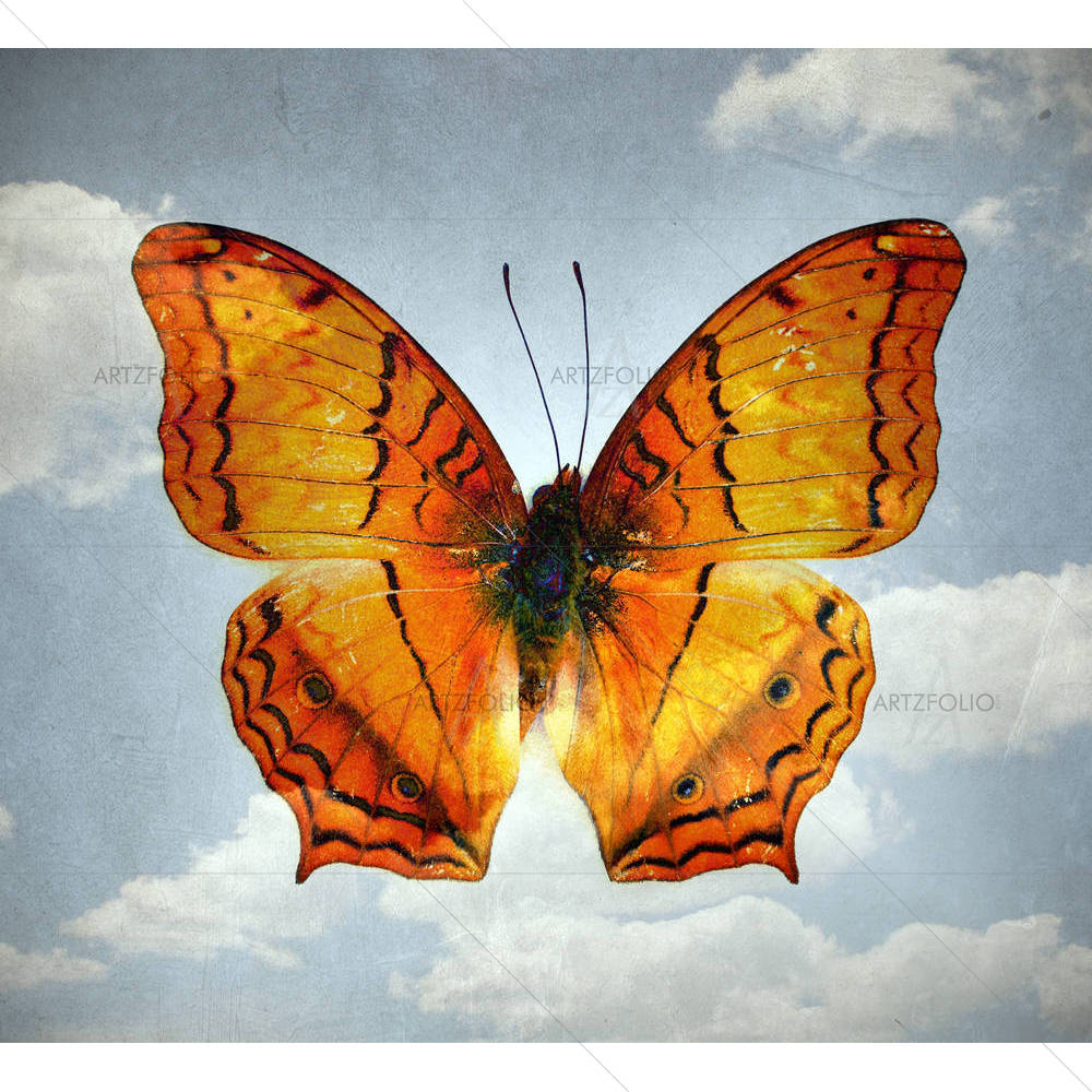 Double Effect Butterfly D4 — Abstract custom art by ArtzFolio