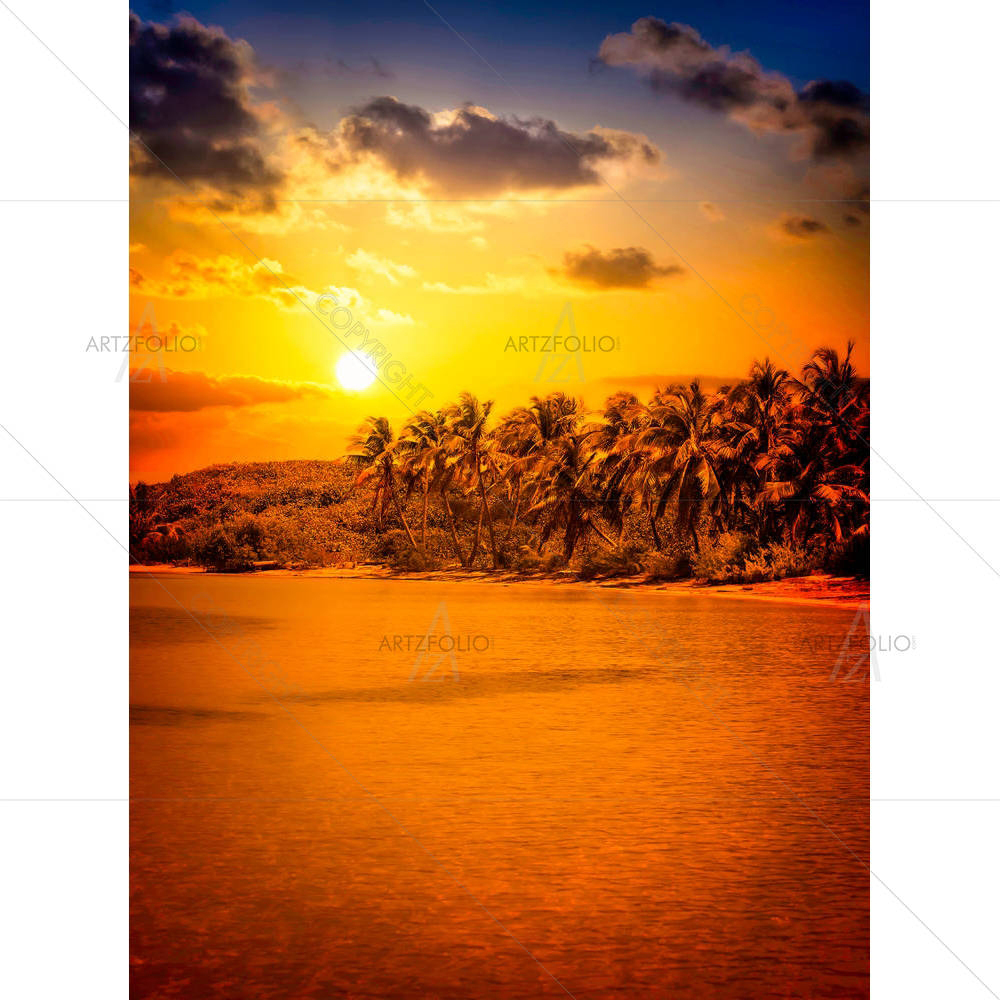 Mexican Contoy Island D2 — custom-size art design 5006809