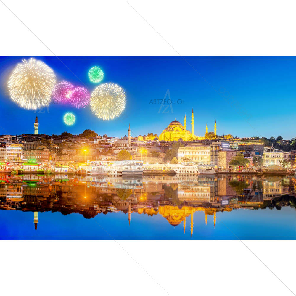 Galata Tower & Golden Horn in Istanbul, Turkey D2 — custom-size art design 5006967