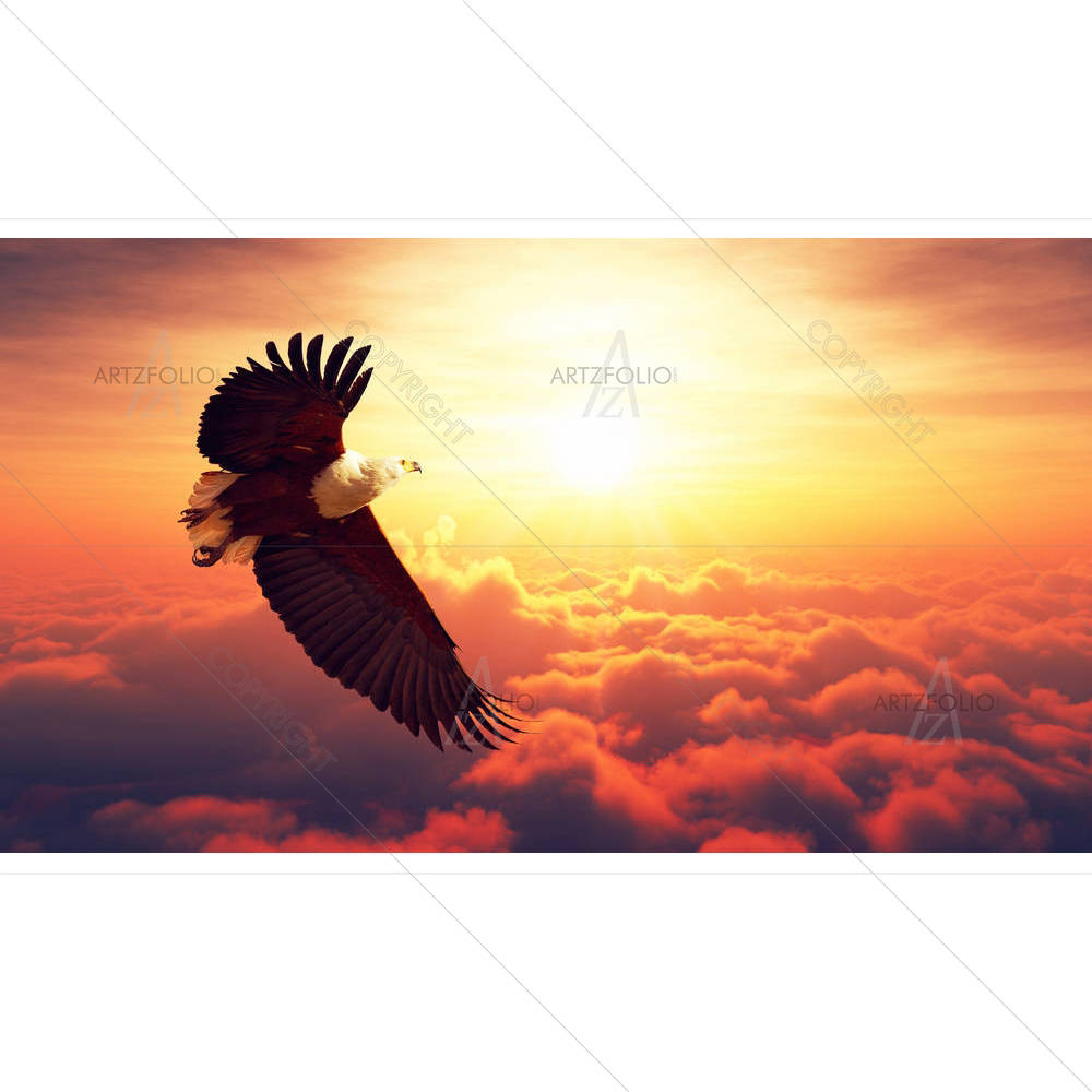 African Fish Eagle Flying — custom-size art design 5006981