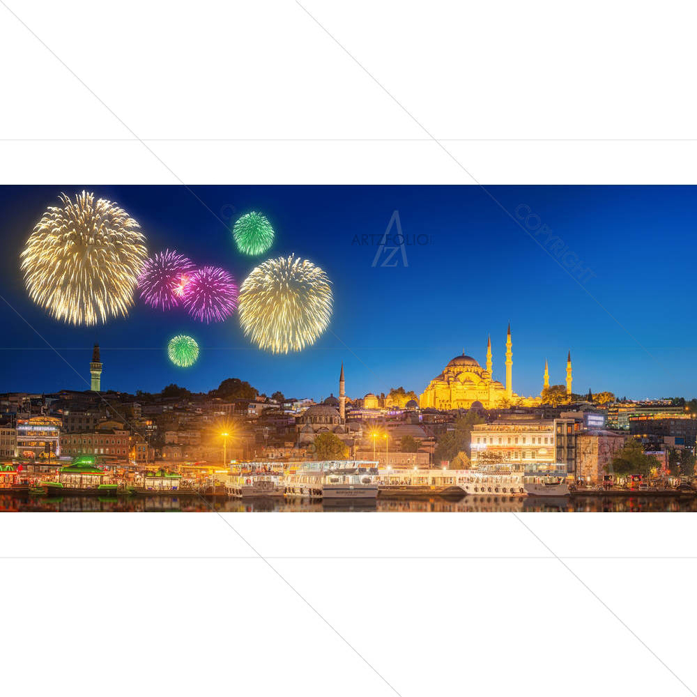Galata Tower & Golden Horn in Istanbul, Turkey D4 — custom-size art design 5006983