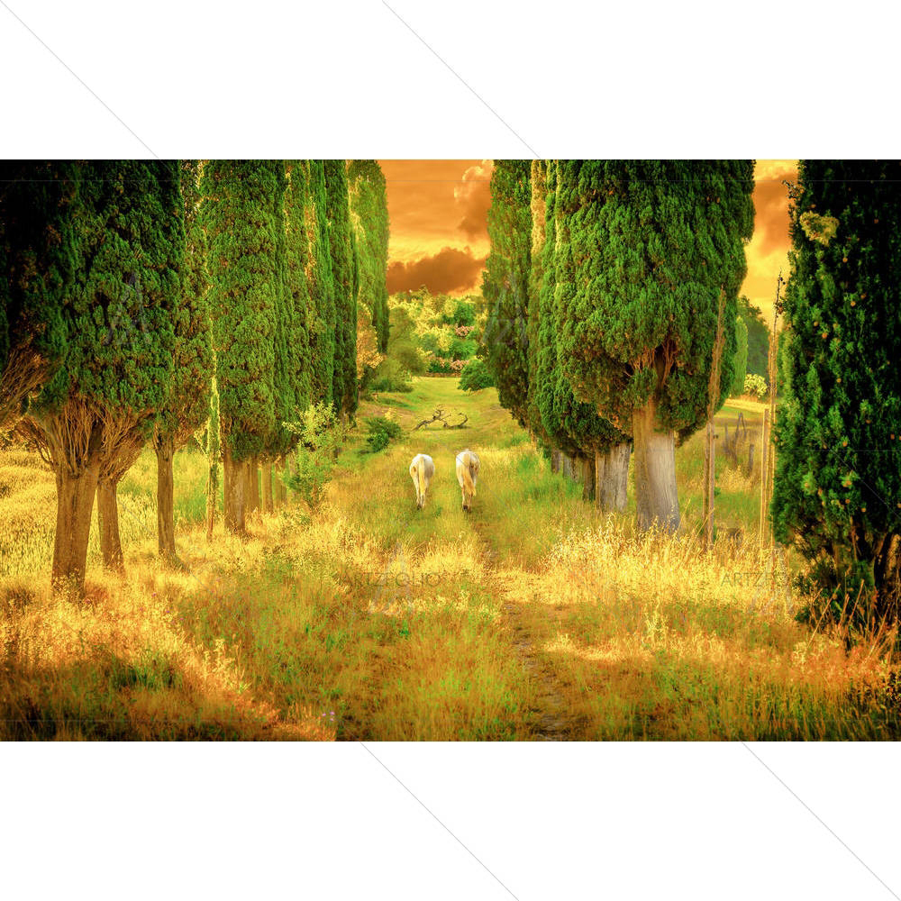 Wild Horses — custom-size art design 5007079