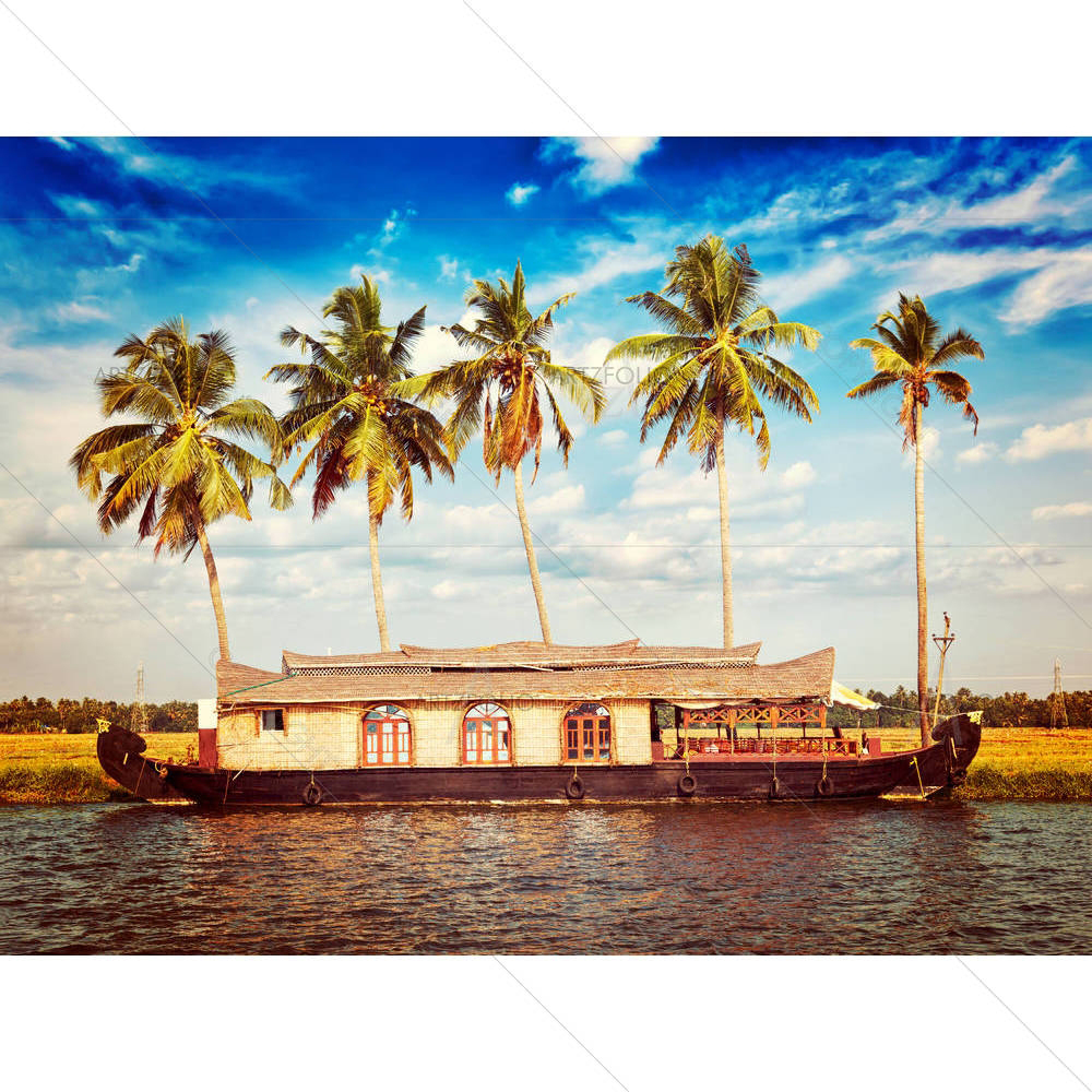 Houseboat On Kerala Backwaters, India D1 — custom-size art design 5007129