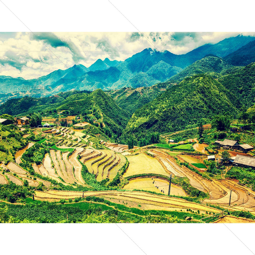 Rice Paddy Fields, Near Sapa, Vietnam — Ancient custom art by ArtzFolio