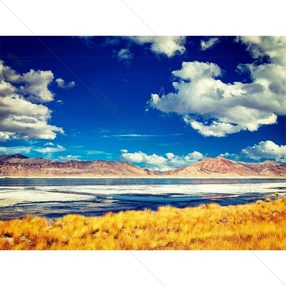 Tso Kar, Moutain Salt Lake In Himalayas, India D1 — custom-size art design 5007134