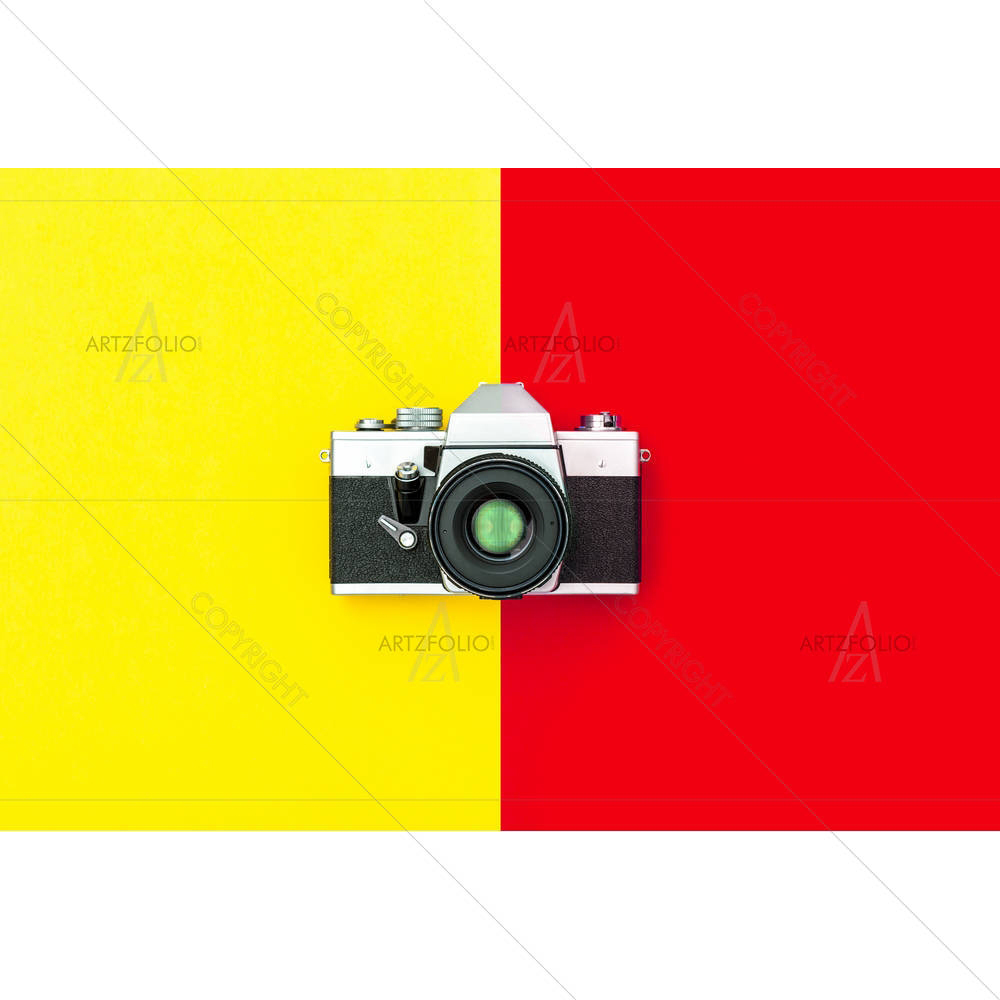 Vintage Camera D1 — custom-size art design 5007152
