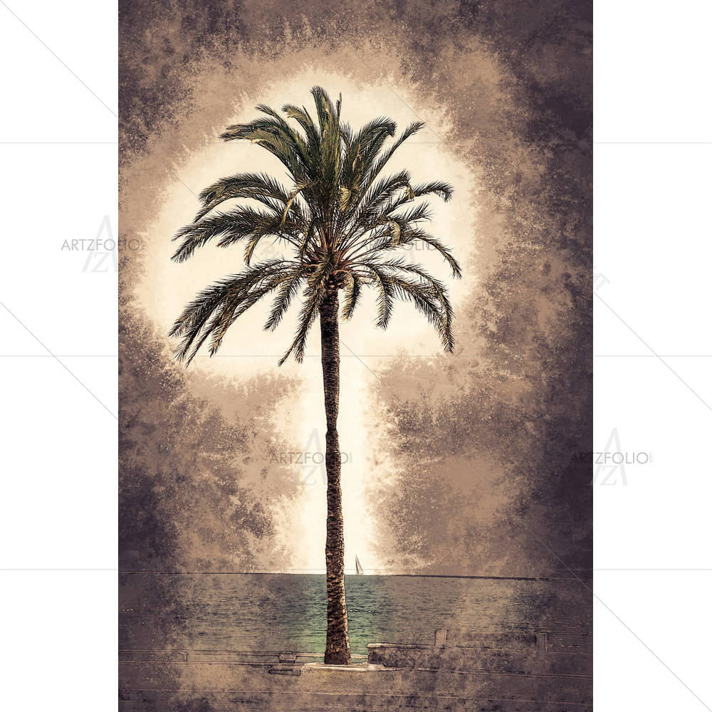 Palm Trees, Palma De Mallorca, Spain D2 — custom-size art design 5007164