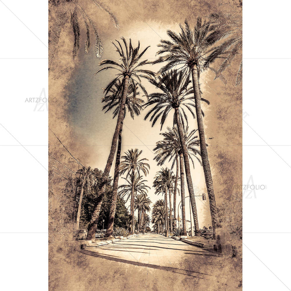 Palm Trees, Palma De Mallorca, Spain D3 — Ancient custom art by ArtzFolio