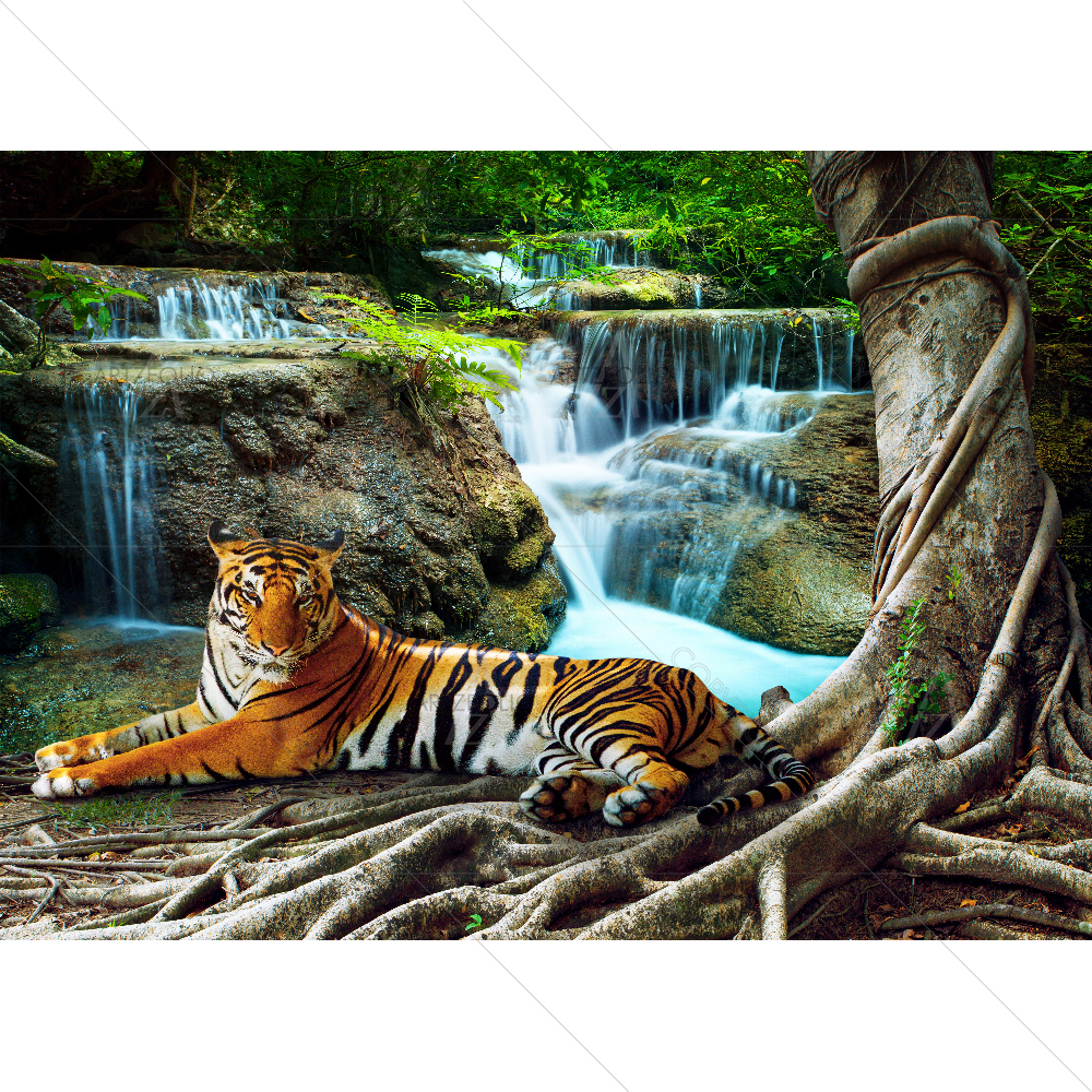 Tiger Relaxing — custom-size art design 5007719