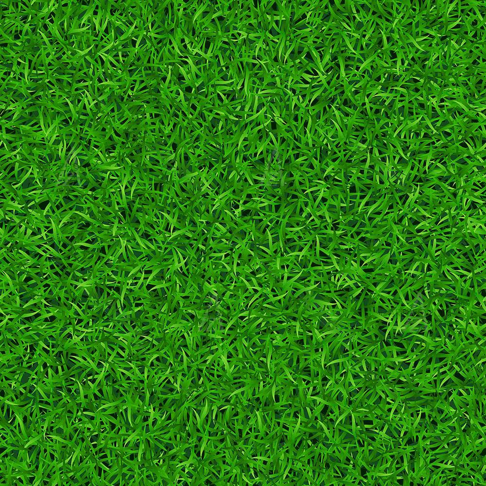 Nature Green Grass — custom-size art design 5008243