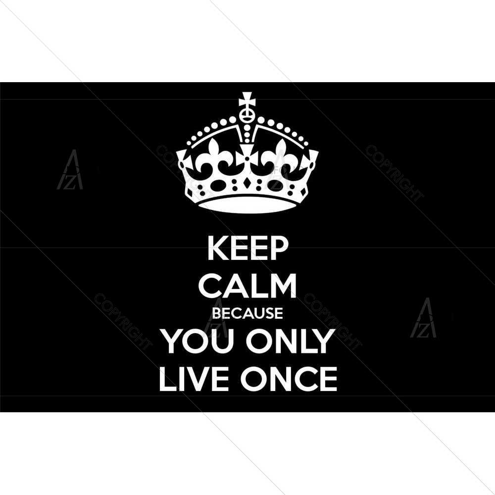 Keep Calm Because YOLO — custom-size art design 5008550