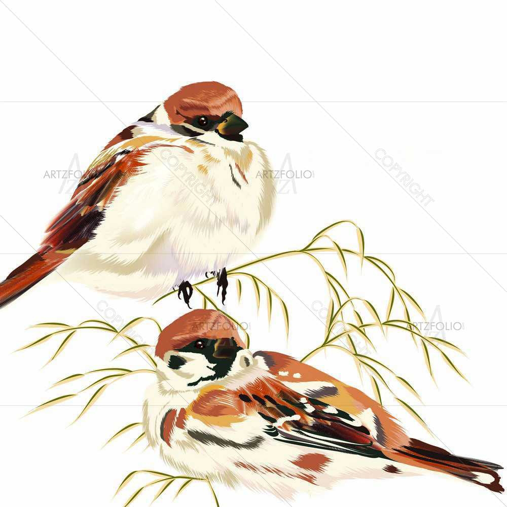 Whity Birdy — custom-size art design 5008718
