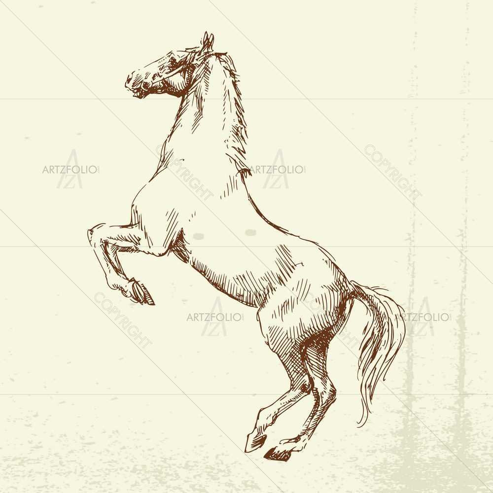 Wild Animals Sketches D3 — Animals custom art by ArtzFolio