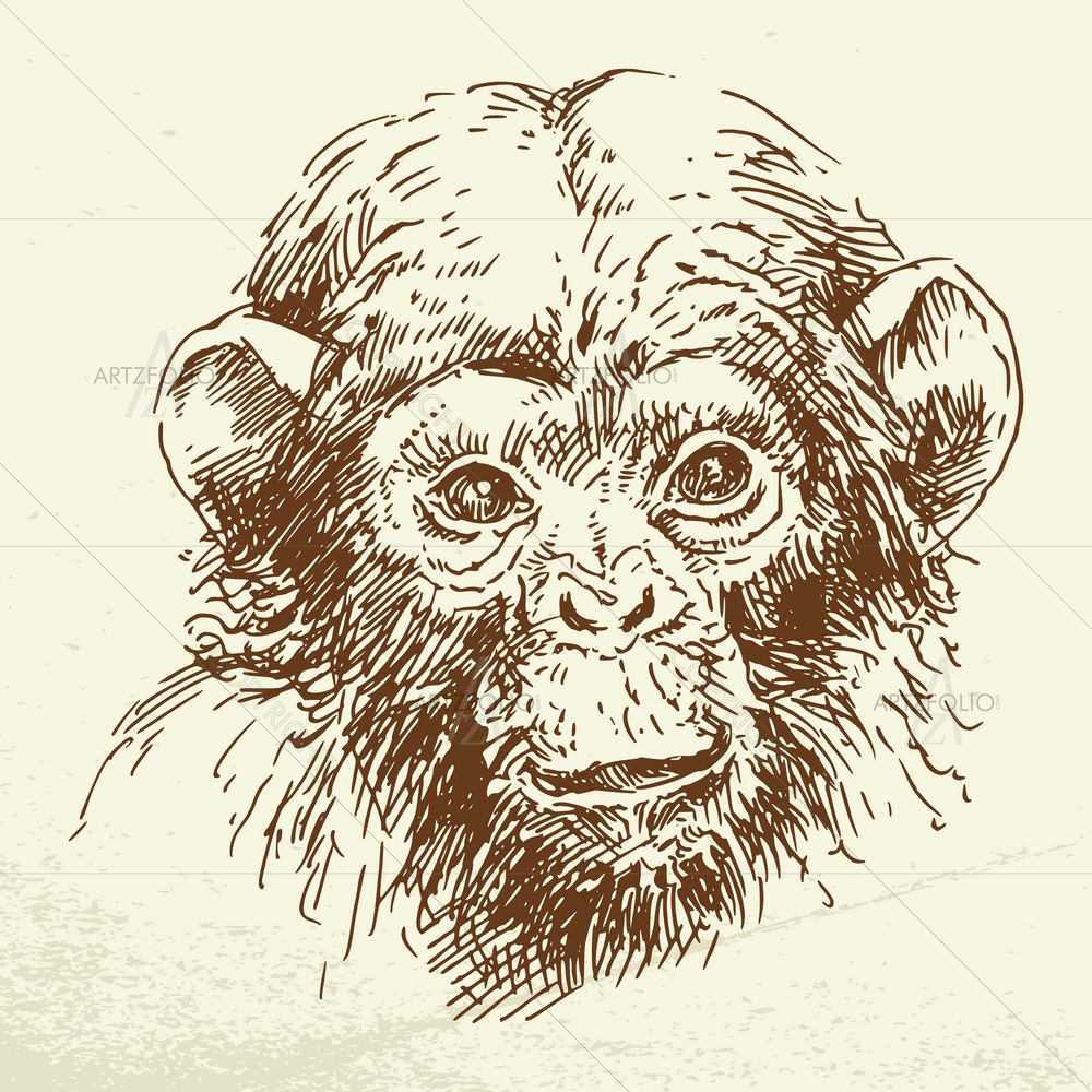 Wild Animals Sketches D6 — custom-size art design 5008916