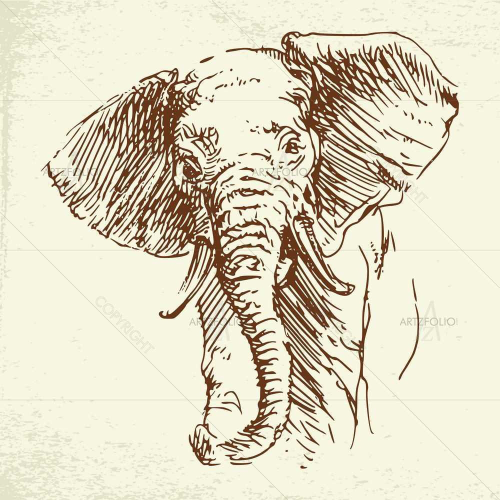 Wild Animals Sketches D7 — custom-size art design 5008917