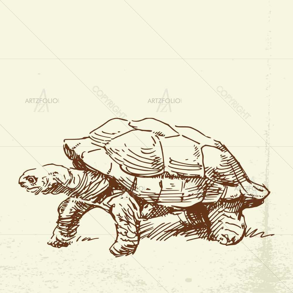 Wild Animals Sketches D8 — custom-size art design 5008918