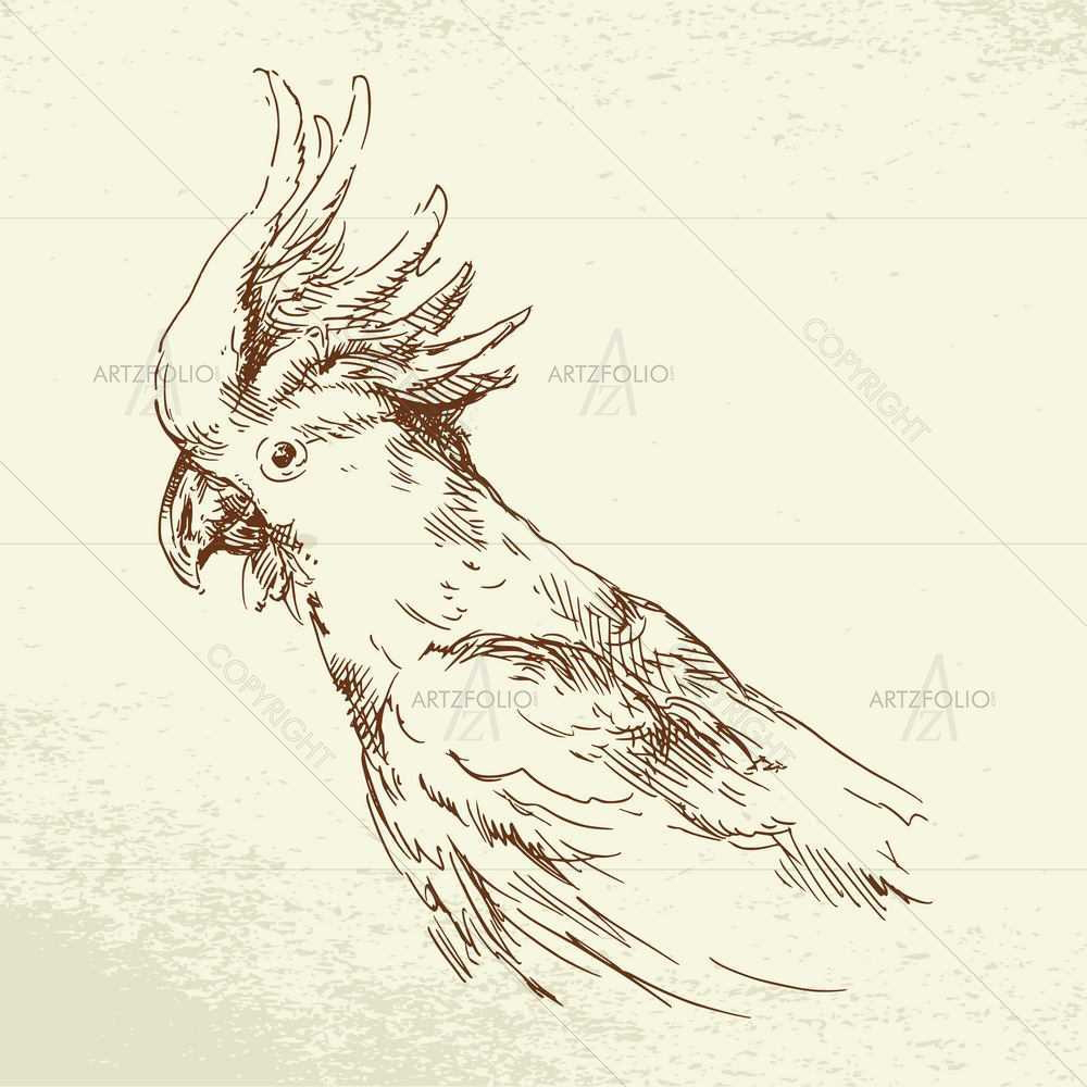 Wild Animals Sketches D9 — custom-size art design 5008919