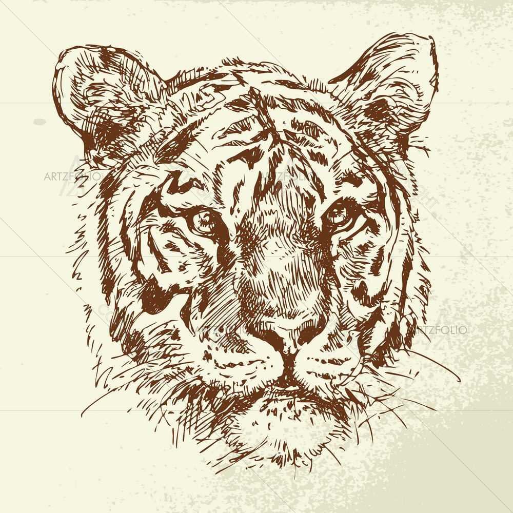 Wild Animals Sketches D10 — Animals custom art by ArtzFolio