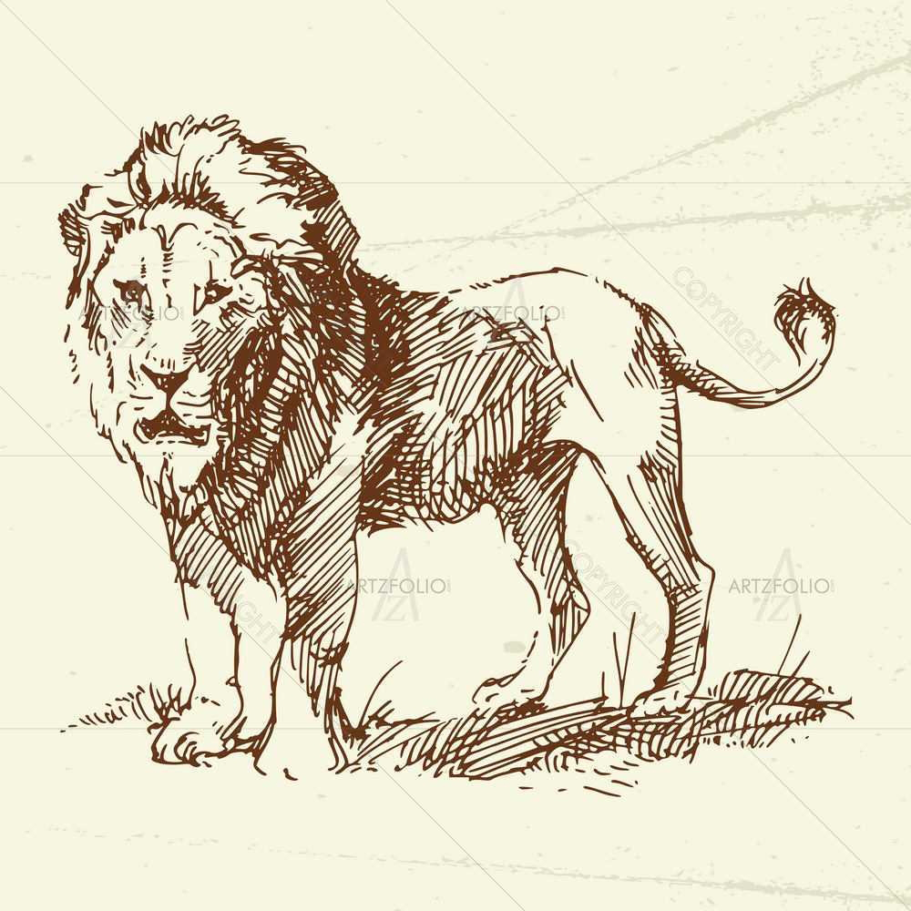 Wild Animals Sketches D12 — custom-size art design 5008922