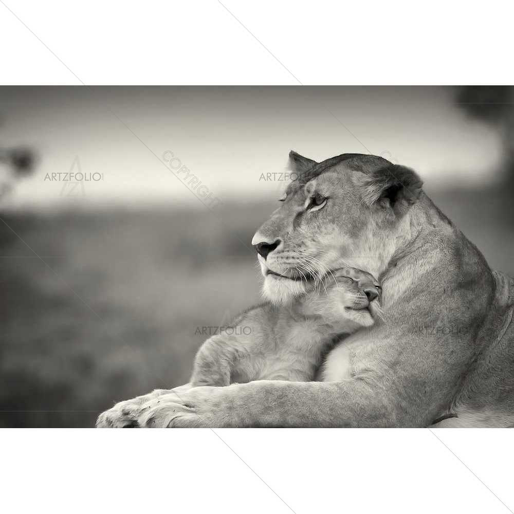 Cub Love D1 — custom-size art design 5008925