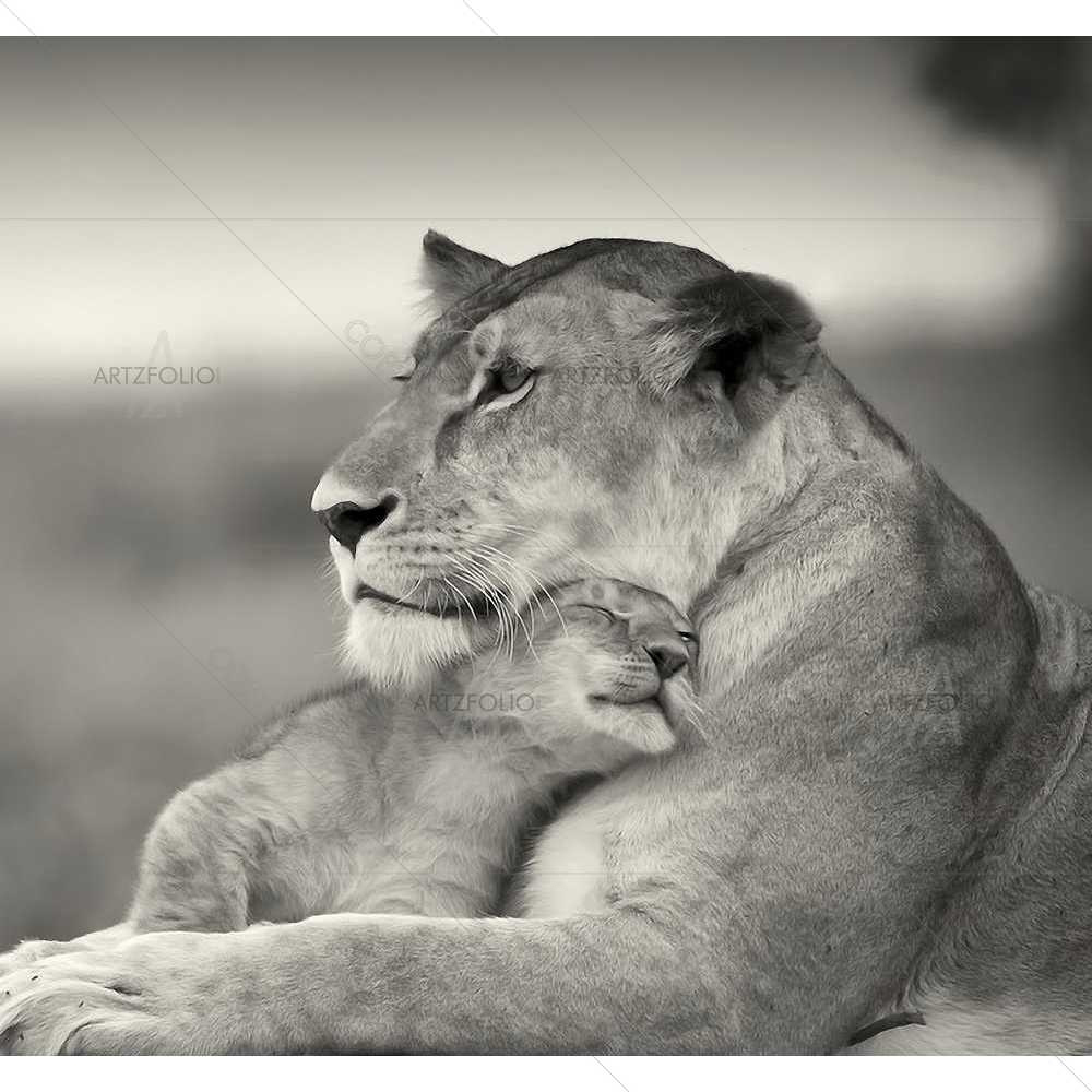 Cub Love D2 — custom-size art design 5008926