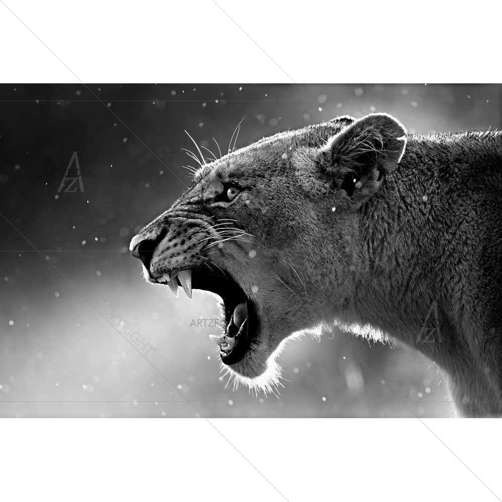 Lioness — Animals custom art by ArtzFolio