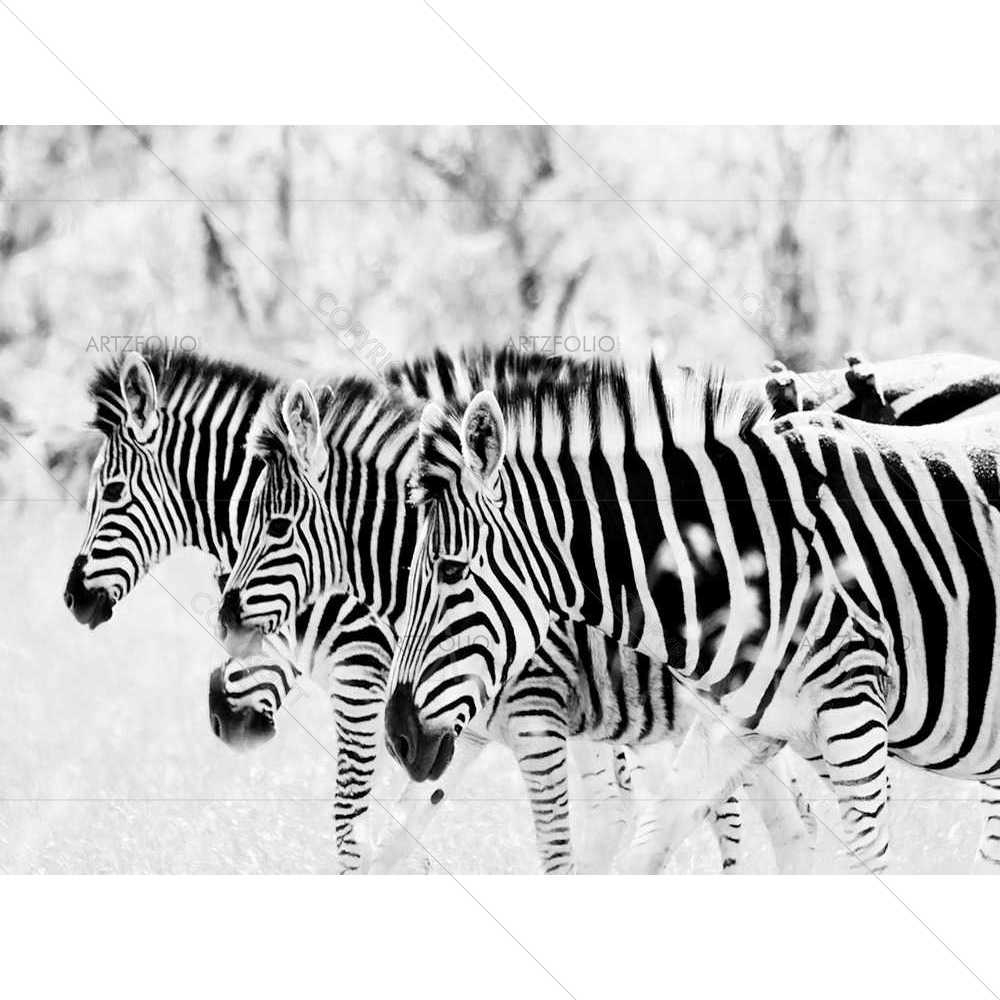 Zeal — Animals custom art by ArtzFolio