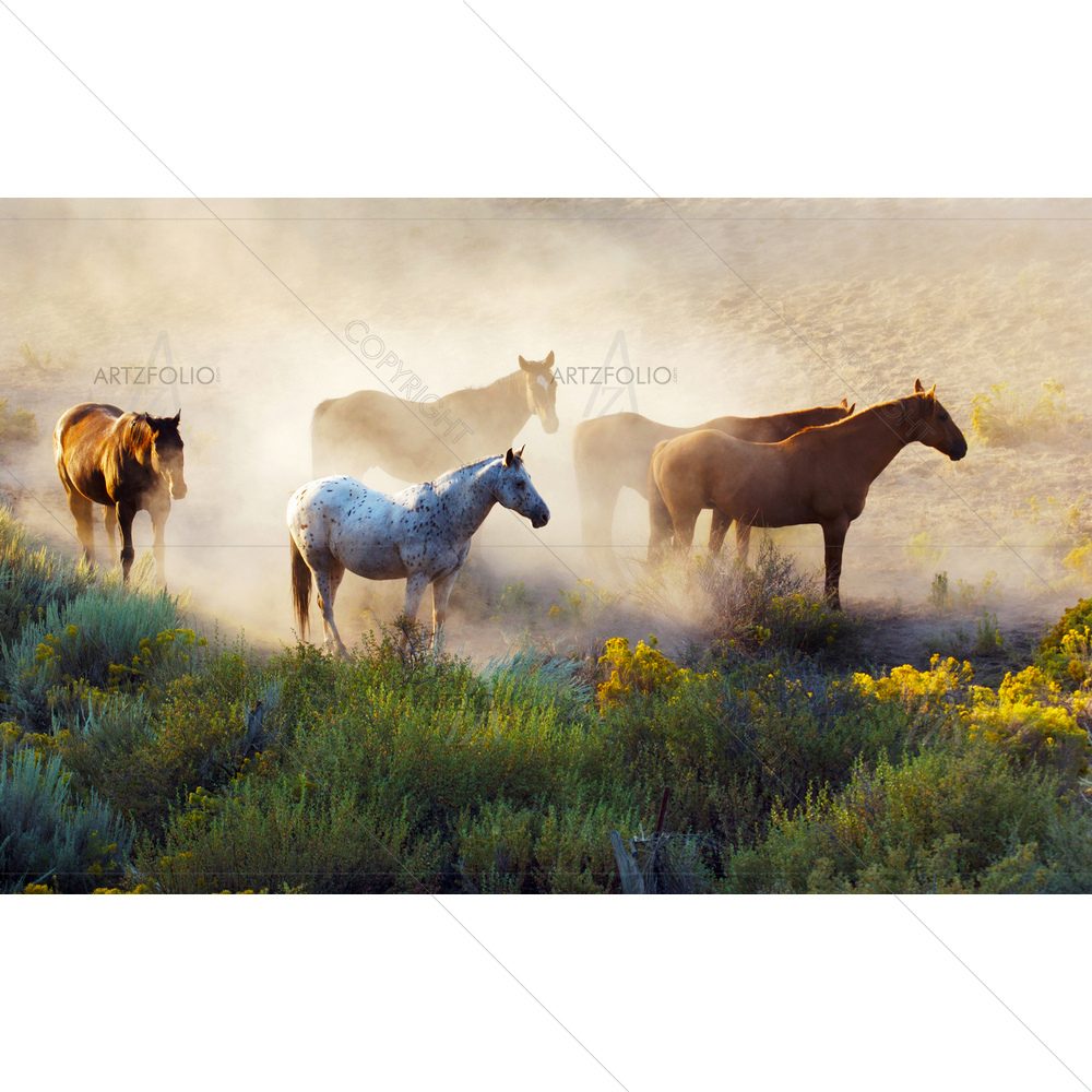 Horses Group — custom-size art design 5009278