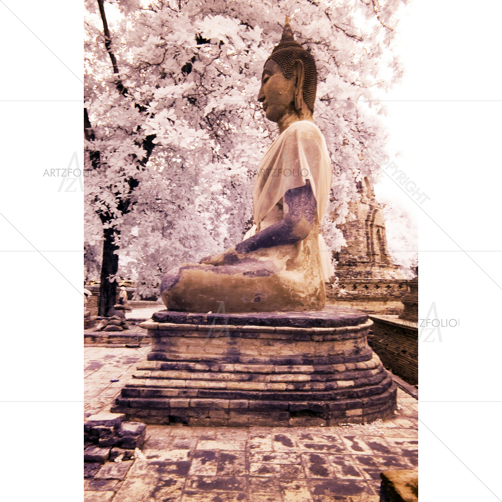 Ancient Ayudthaya Historical Park, Thailand D1 — custom-size art design 5009294