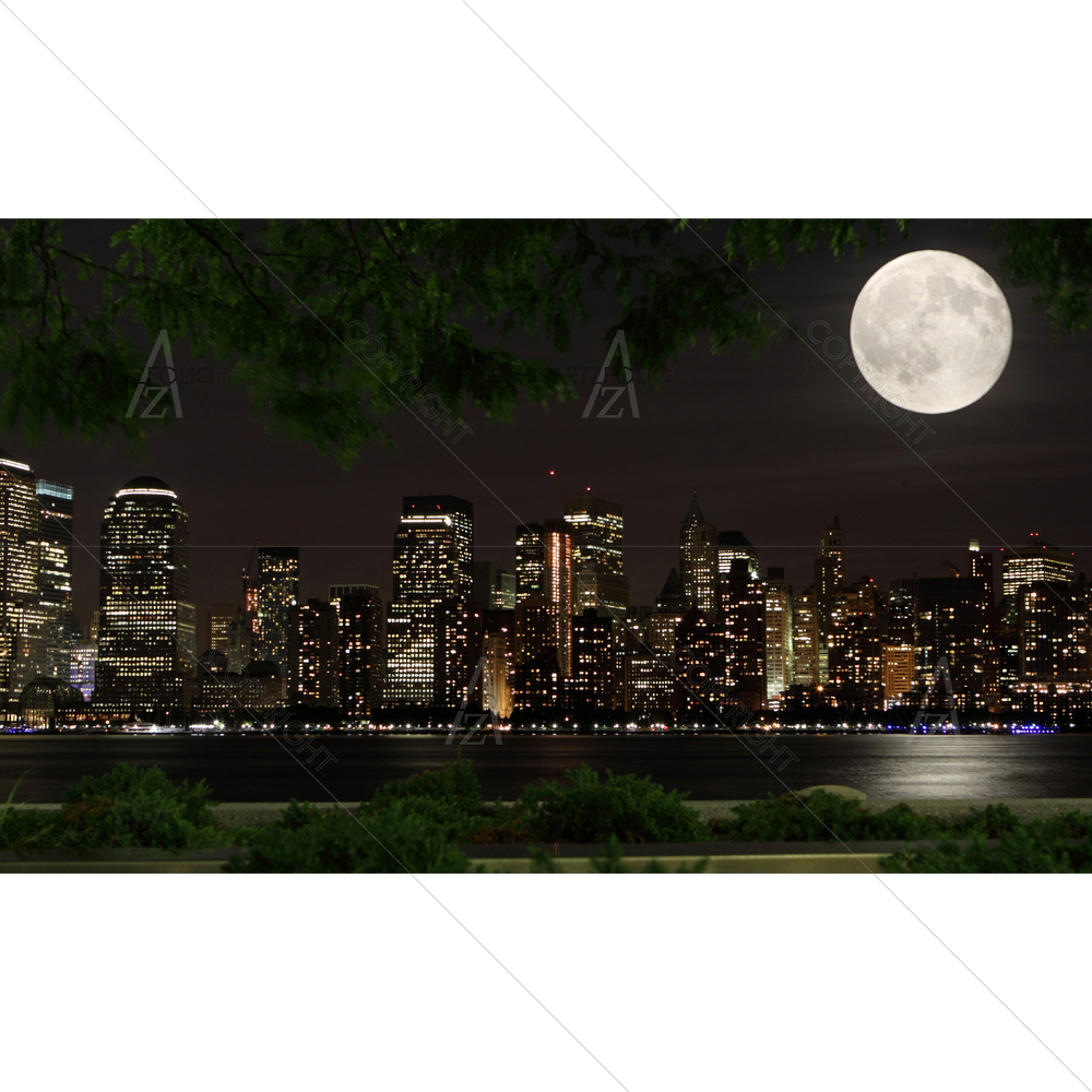 Full Moon and Manhattan — Others custom art by ArtzFolio