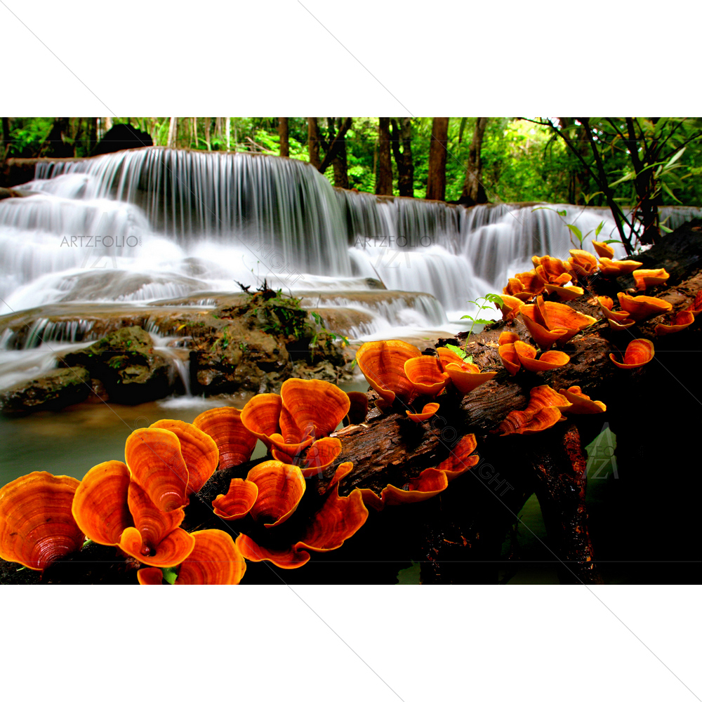 Mushroom with Waterfalls — custom-size art design 5009378