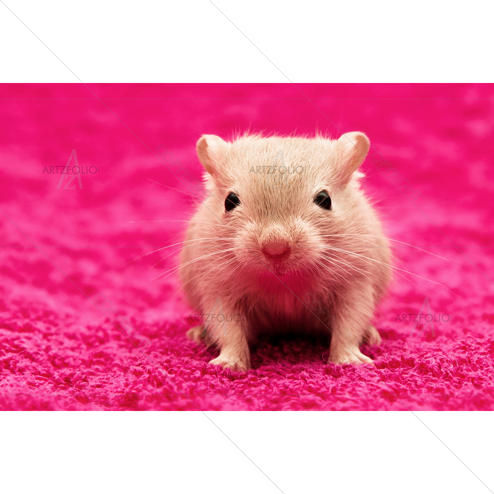 Mice Image — custom-size art design 5009431