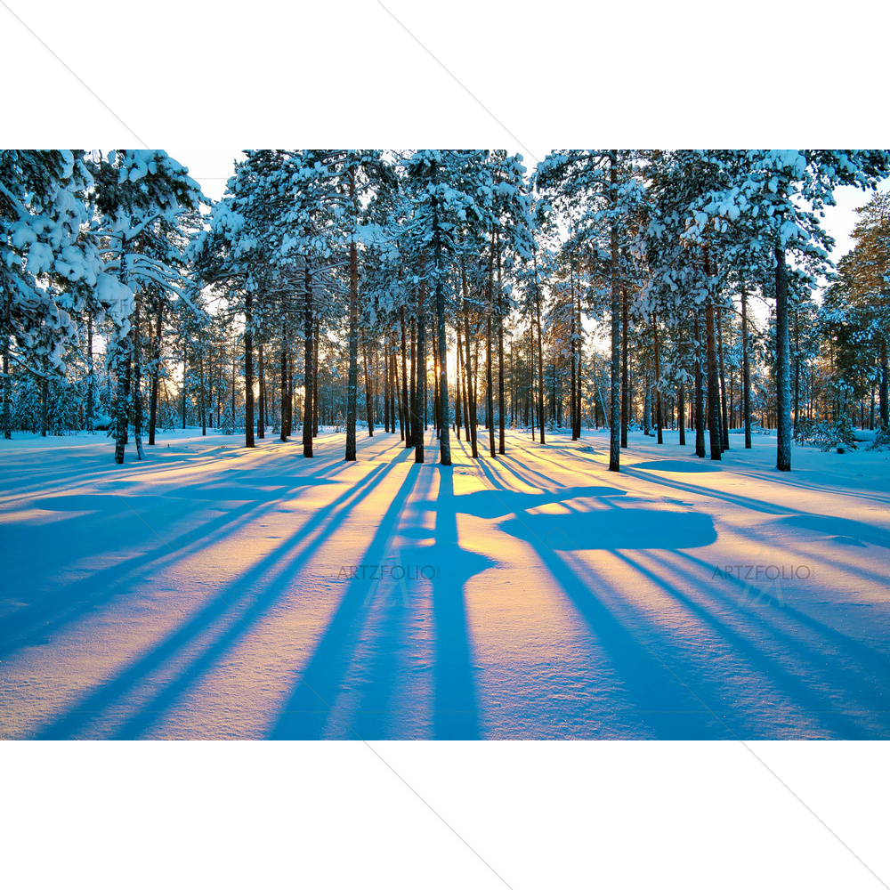 Winter Forest D1 — custom-size art design 5009467