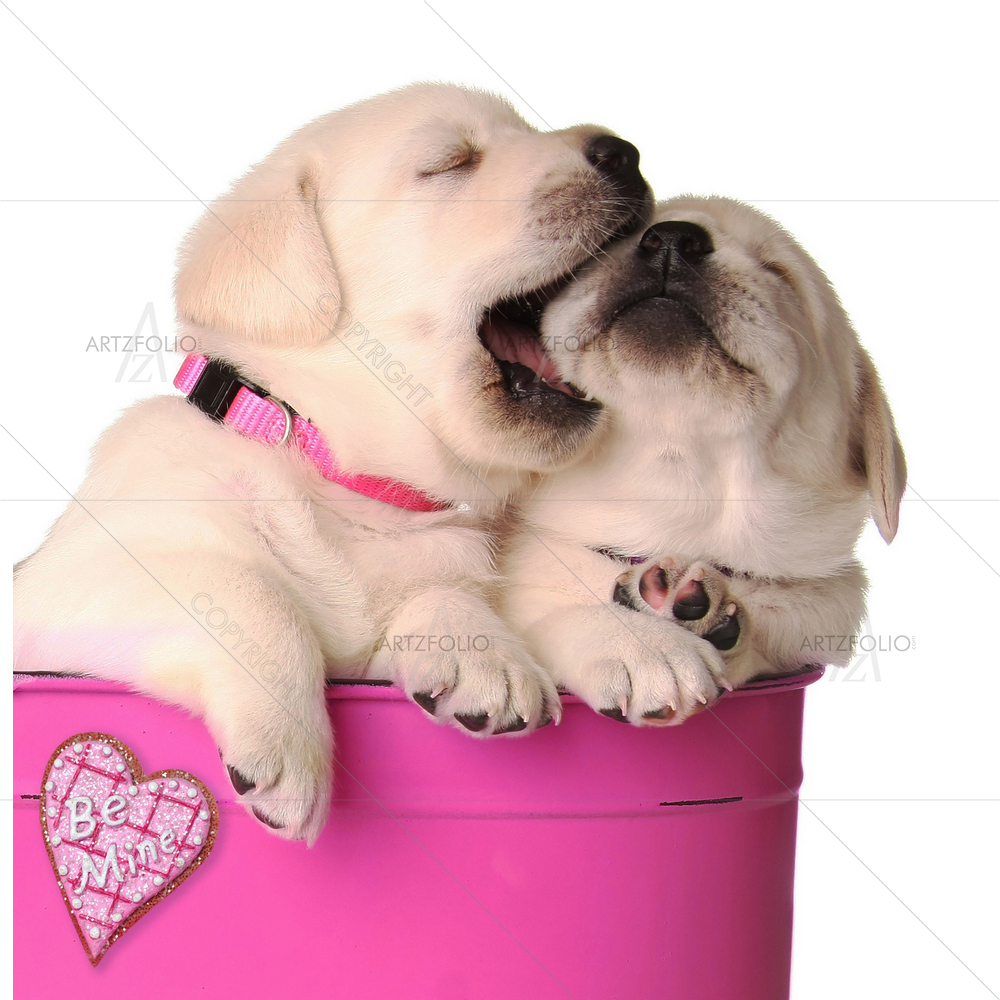 Puppies with Heart — Devotional custom art by ArtzFolio