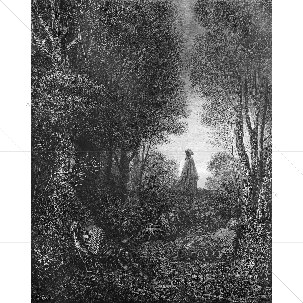 Jesus' Praying in Garden, Gustave Dore — custom-size art design 5009562