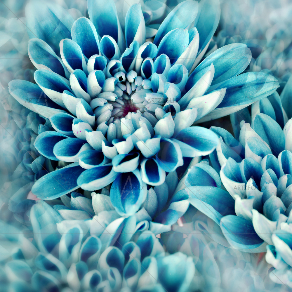 Abstract Flowers Petals — custom-size art design 5009582