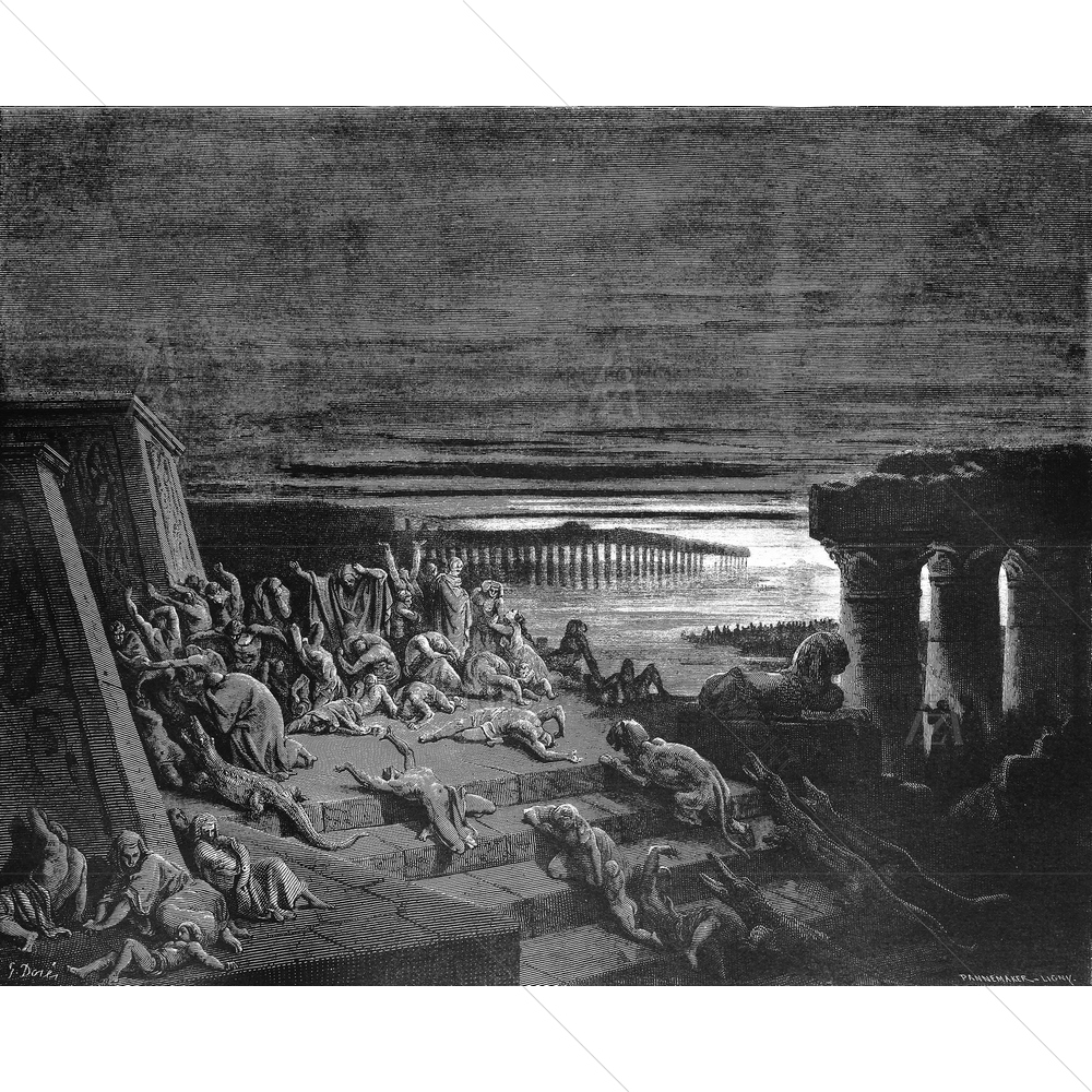 The Plague of Egypt Holy Scriptures, Gustave Dore — custom-size art design 5009597